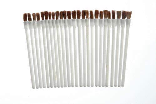 Disposable Lip Brushes